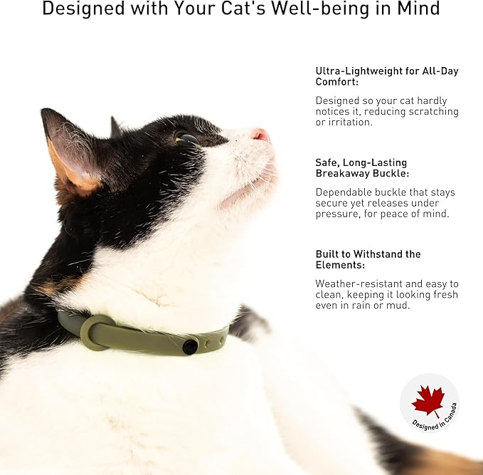 Breakaway Cat Collar - Soft, Comfortable, and Lightweight Safety Buckle Collar with Name Tag Ring for Outdoor Cats and Sensitive Skin Kittens by Nuvuq (6 ⅞" to 10 ¼", Green)-PawvioPets