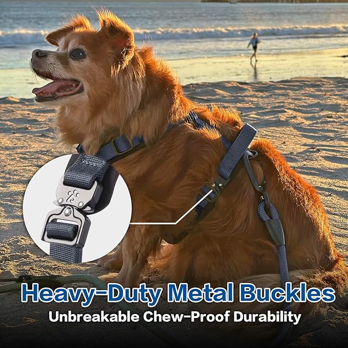 CLEPAWS Dog Harness for Medium Dogs, No Pull Dog Harness Easy Walk with Metal Hardware, Ergonomic Y-Shaped Design, Soft Padding, Padded Handle, Durable High-Tensile Nylon (Nightfall, M)-PawvioPets