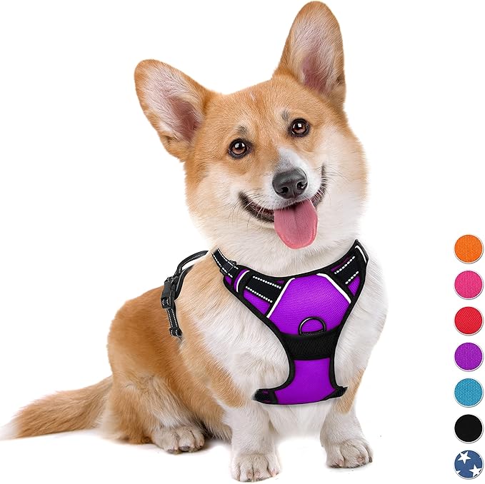 BARKBAY No Pull Dog Harness Large Step in Reflective Dog Harness with Front Clip and Easy Control Handle for Walking Training Running(Purple,M)-PawvioPets