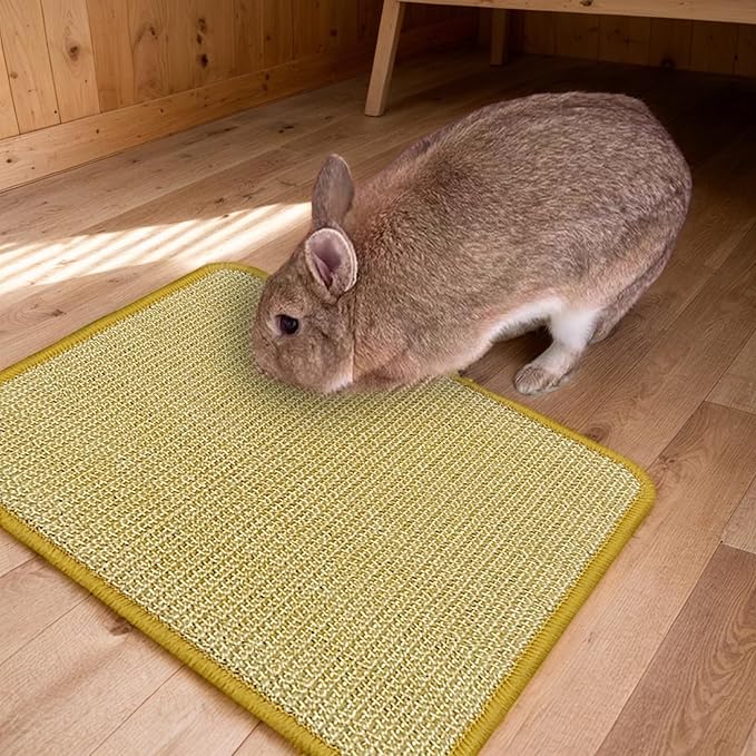 DYAUS Bunny Scratch Pads, Natural Sisal Rabbit Scratching Mats for Claws and Teeth Care, Indoor Bunny Chew Toys Bunny Bed for Biting Sleeping Nesting (3PCS, 16x12in)-PawvioPets