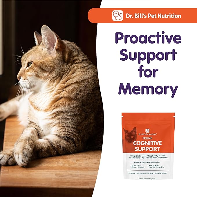 Dr. Bill's Feline Cognitive Support | Memory Support Supplement for Cats | Pet Supplement | Contains Gingko Biloba, L-Carnosine, Vitamin B-12, L-Glutamine, L-Tyrosine, and DHA-PawvioPets