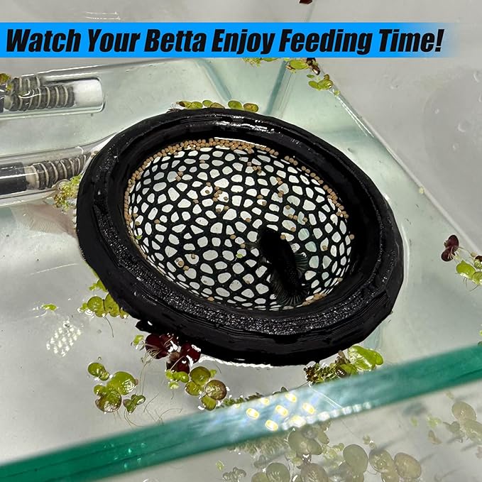 Aquarium Floating Betta Fish Skins, Betta or Shrimp Feeder, Cave and Hammock, Small Fish Feeding Rings, Aquarium Hiding Feeding Decorative Accessories (Black)-PawvioPets