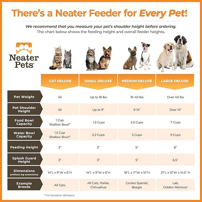 Neater Feeder Deluxe Mess Proof Cat Bowls Elevated for All Breeds – Made in USA – No Spill Raised Bowls for Indoor Cats – Stainless Steel Food and Water Bowl Set, Pet Dish Feeding Station, Aquamarine-PawvioPets