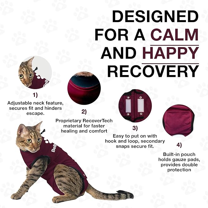 Bellyguard Cat Recovery Suit Female and Male, Comfy Onesie After Surgery, Kitten Clothes for Post-Op Care, Neuter and Spay Healing Outfits for Cats Only – Comfortable Kitten and Adult Cone Alternative-PawvioPets