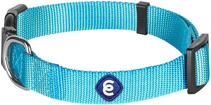 Blueberry Pet Essentials Adjustable Dog Collar in Turquoise | Dog Collars for Medium & Large Dogs | Eco-Friendly Nylon for Boy & Girl Puppies | Stylish & Durable for The Eco-Conscious-PawvioPets
