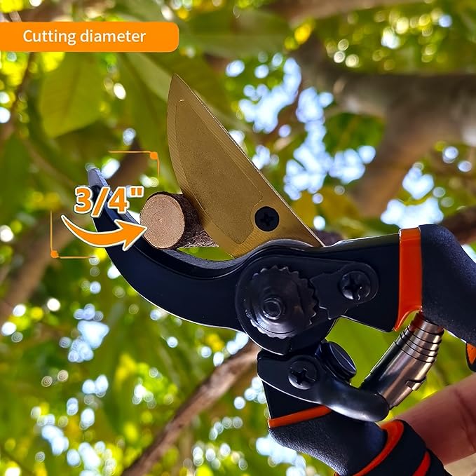 Gardening Tools – 42 Piece Premium Gardening Tool Set,Heavy Duty Hand Tools with Fashion Garden Tools Organizer Handbag,Rust-Proof Gardening Tool Kit, Ideal Gardening Gifts for All (Green/Grey)-PawvioPets