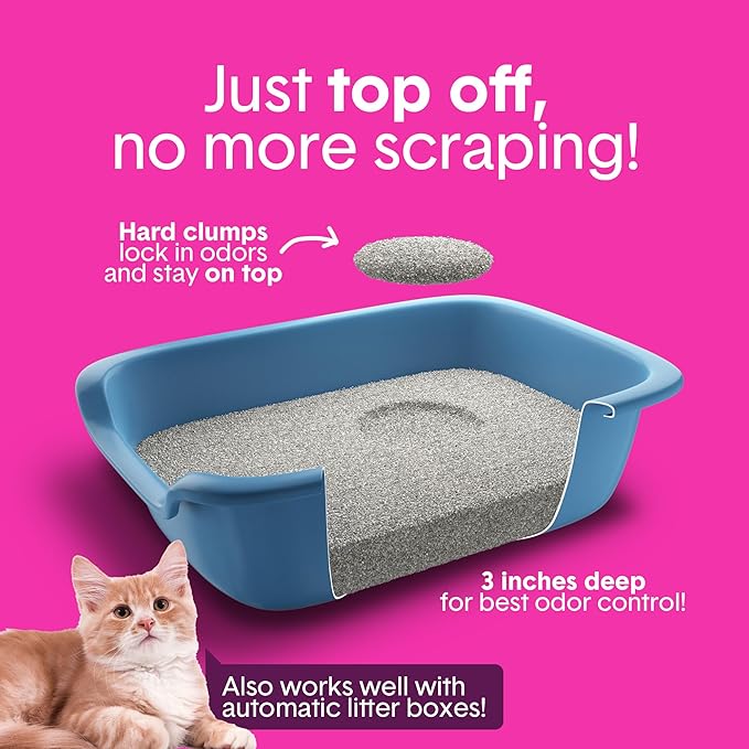 Boxie® Glo™ 30 Day Odor Control Clumping Clay Cat Litter, 16 lb, Multi-Cat, 99.9% Dust-Free, Low Tracking, UV Light Attractant, Superior Clumping for Easy Scooping-PawvioPets