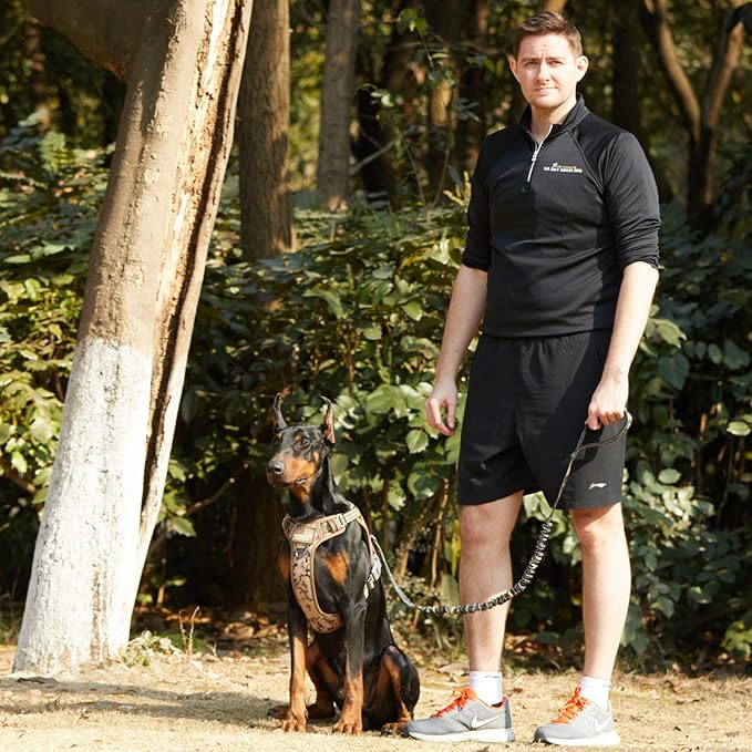 BUMBIN Tactical Dog Harness for Small Dogs No Pull, Famous TIK Tok No Pull Puppy Harness, Fit Smart Reflective Pet Walking Harness for Training, Adjustable Dog Vest Harness with Handle Desert Camo S-PawvioPets