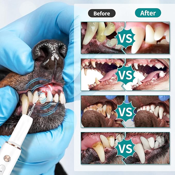 Dog Plaque Tartar Remover, Electric Toothbrush Teeth Cleaner Dental Care Kit for Dogs Cats- 5 Modes LED IPX6 Waterproof Auto-Stop Gum Protection USB Charge, 3 Brush Heads, Pet Teeth Cleaning Tools-PawvioPets