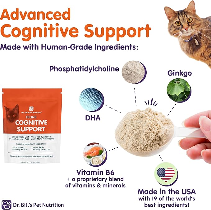Dr. Bill's Feline Cognitive Support | Memory Support Supplement for Cats | Pet Supplement | Contains Gingko Biloba, L-Carnosine, Vitamin B-12, L-Glutamine, L-Tyrosine, and DHA-PawvioPets