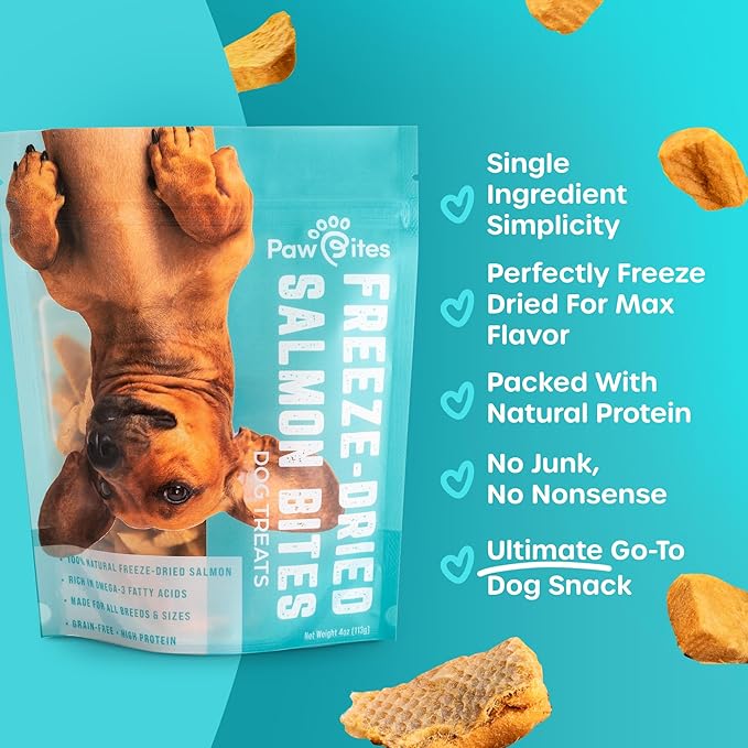 Freeze Dried Dog Treats - Wild Caught Salmon - Dog Food Dry Snacks - with Protein & Omega 3s - for All Breeds & Sizes - No Artificial Flavors & Dyes, No Preservatives - 1 Pouch, 4 oz-PawvioPets