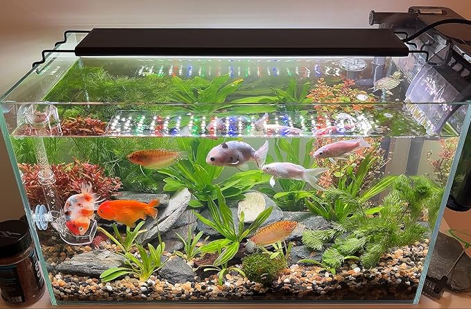 Advanced 7-Row LED Aquarium Light, Easy Setup Controller, Auto On Off Full Spectrum Fish Tank Light, 24/7 Lighting Cycle, 8 Colors, 10 Level Dimming, 40W for 30"-36" Freshwater Planted Tank-PawvioPets