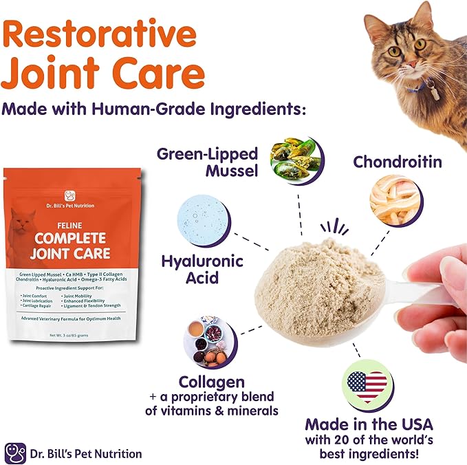 Dr. Bill’s Feline Complete Joint Care | Advanced Hip & Joint Supplement for Cats | Green Lipped Mussel Extract, Collagen Type II, Chondroitin, Hyaluronic Acid, Omega 3 and Colostrum | Powder, 85g-PawvioPets