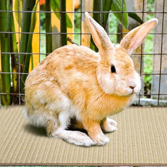 2Pcs Rabbit Scratch Mat,16 x 12 Inch Sisal Rabbit Scratching Pad,Rabbits Scratching Mats for Cages,Claws and Teeth Care Rabbits Chew Toys,Small Pet Bedding for Biting Sleeping Nesting-PawvioPets