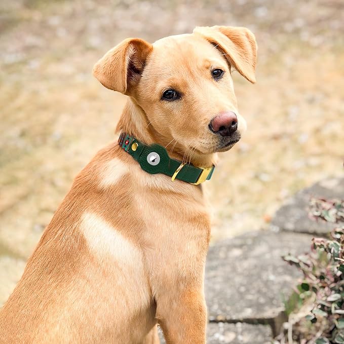 AirTag Dog Collar for Small Medium Large Breed - Adjustable Cute Pattern Dog Collar with Airtag Holder - Soft Leather Tracker GPS Apple Air Tag Pet Collars (Small, 12"-15" Neck Fit, Tribal)-PawvioPets