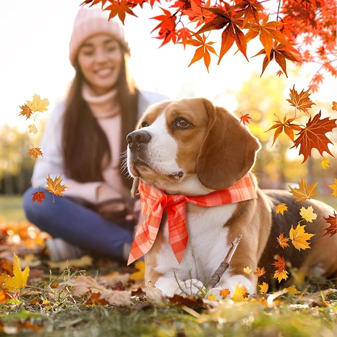 Abbylike 50 Pcs Fall Plaid Dog Bandanas Bulk Autumn Bandanas for Dogs Triangle Kerchief Bibs Scarf for Small Medium Large Pets Thanksgiving Costume Accessories, 25 Styles (25.6 x 17.7 x 17.7 Inch)-PawvioPets