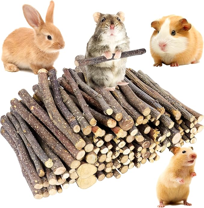 600g Small Apple Sticks Animals Molar Wood Treats Toys for Rabbits Chinchillas Guinea Pig Hamster Gerbil Parrot Bunny Chew Stick Toys Treats, 21.2 OZ-PawvioPets