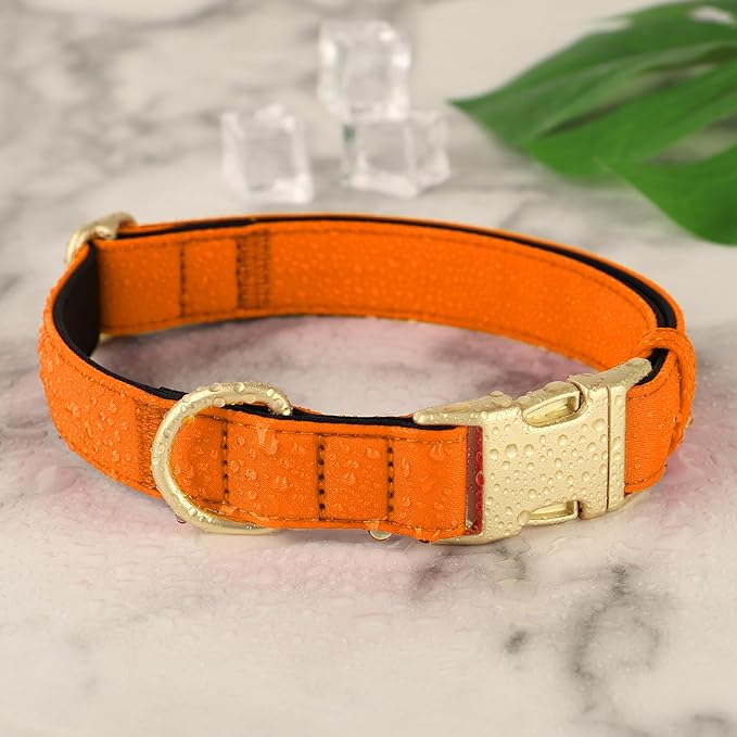 Didog Soft Padded Dog Collars for Medium Dogs, Colorful and Durable Dog Collar with Quick Release Buckle, Light and Breathable for Daily Walking, Orange, M-PawvioPets