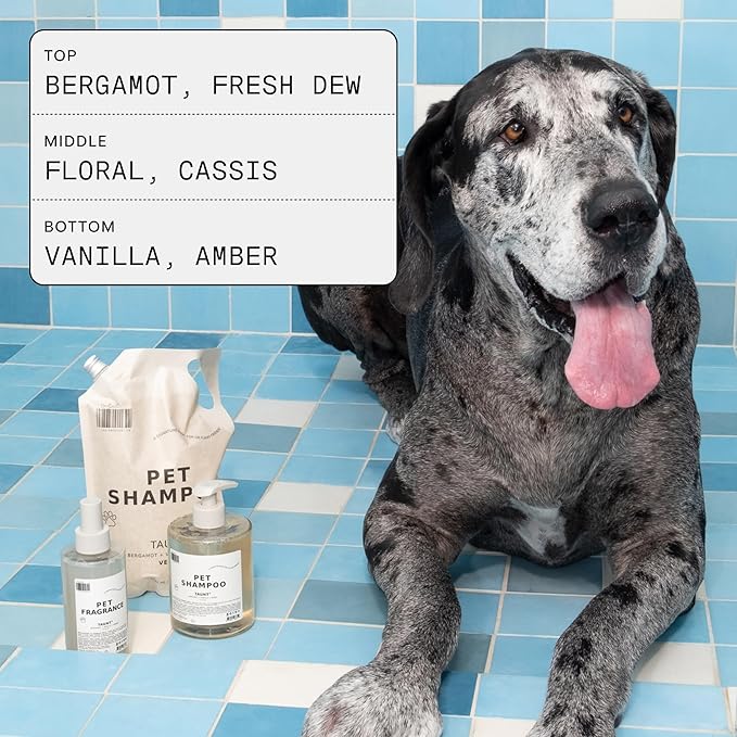 DedCool Pet Shampoo (01 Taunt, Mini 2 oz) Tear-Free, for Sensitive Skin, Hypoallergenic, Dry Skin & Itch Relief, Deodorizing Shampoo & Conditioner for Dogs & Cats, Vegan, Clean, Non-Toxic-PawvioPets