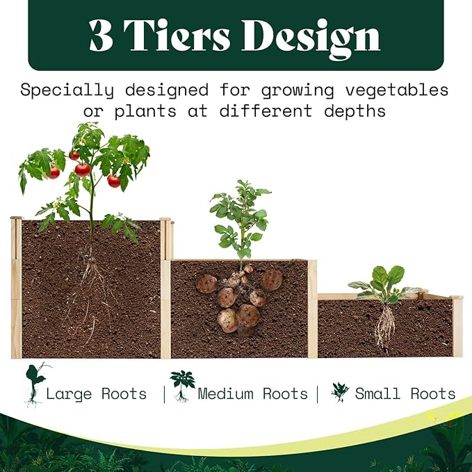 AMERLIFE 3-Tier Raised Garden Bed for Outdoor Gardening, Fir Wood Planter Box with Dividers, Tool-Free Assembly, Garden Box Perfect for Vegetables, Herbs, and Flowers-PawvioPets