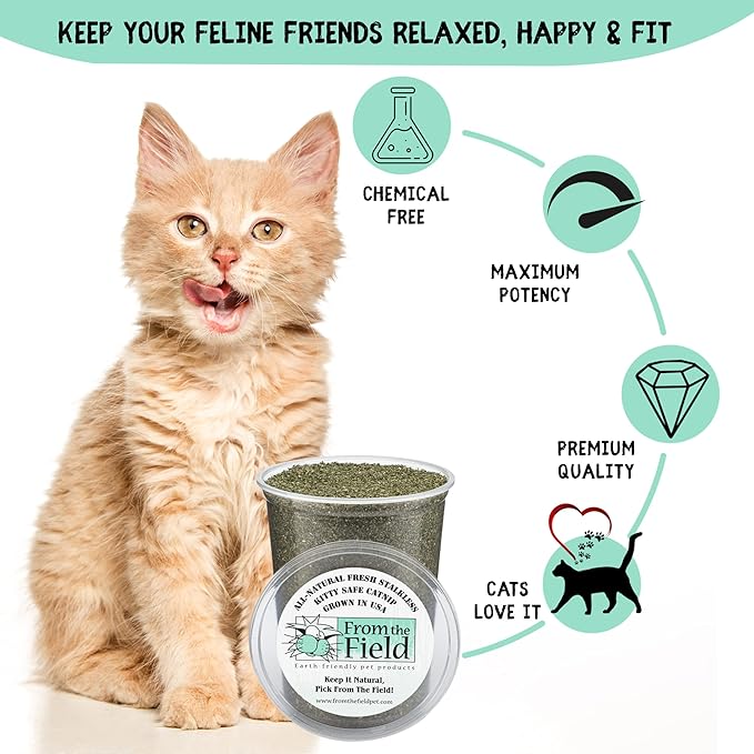 from The Field | Fine Ground Stalkless Catnip | Premium USA-Grown Catnip for Toys & Playtime | Fresh, Potent, Non-Toxic, Eco-Friendly | Safe for Kittens & Cats | Resealable 10 Oz Bag-PawvioPets