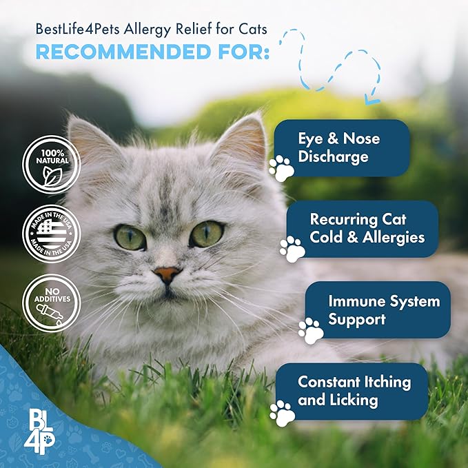 Cat Allergy Relief & Immune Support, Natural Relief for Seasonal Allergies, Itching, Sneezing, Congestion, Runny Nose, and Feline Respiratory Infections, 400 Small Odorless Tasteless Pills-PawvioPets