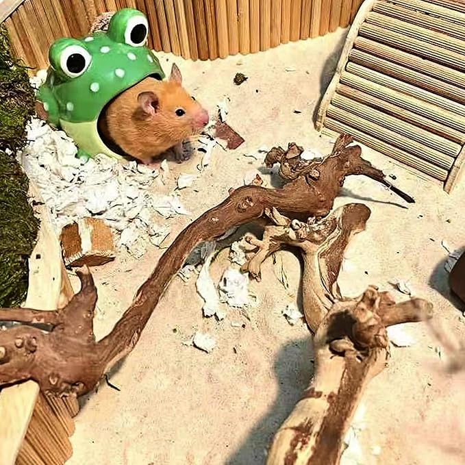 DR.DUDU Hamster Bath Sand, 2.8lb Dust Free Desert Sand or Potty Litter Sand for Hamster Chinchillas Gerbil Syrian Mice Small Animals (Beige, Flower Smell)-PawvioPets