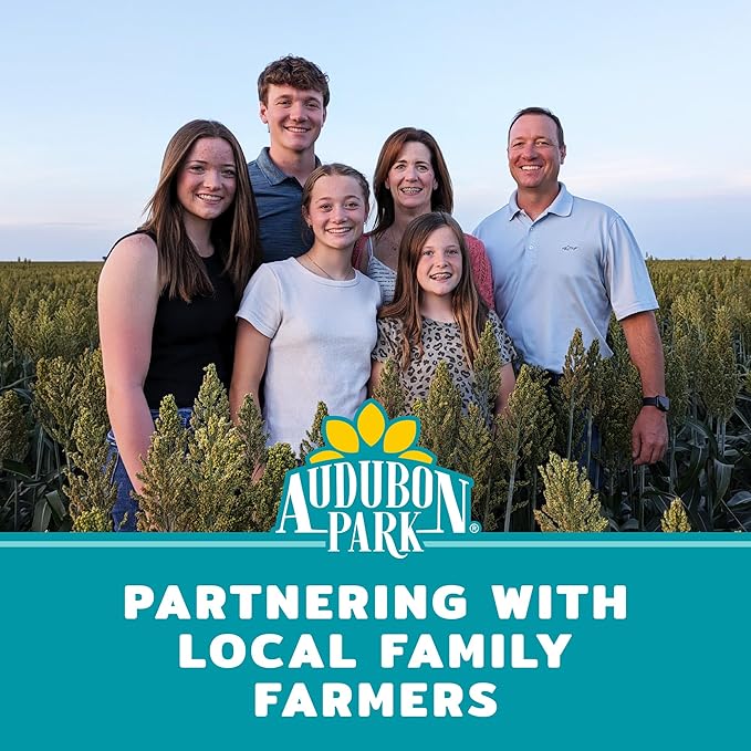 Audubon Park Waste Free Wild Bird Seed –12 lb. No Mess Blend with Sunflower Hearts & Peanut Pieces – Bird Food for Outside Feeders-PawvioPets