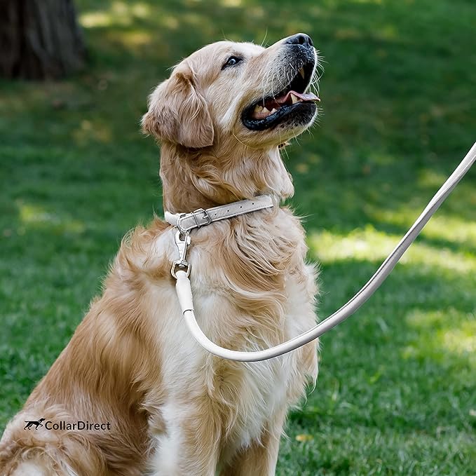 CollarDirect Rolled Leather Dog Collar, Soft Padded Round Puppy Collar, Handmade Genuine Leather Collar Dog Small Large Cat Collars 13 Colors (6-7 Inch, White Textured)-PawvioPets