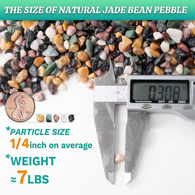 AVALUTION Aquarium Gravel for Plants -7lb Fish Tank Gravel for Succulent Cactus & Bonsai, 1/4Inch Decorative River Rocks Pebbles for Gardening, Flower Pots, Landscaping, Terrarium-PawvioPets