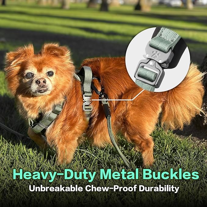 CLEPAWS Dog Harness for Medium Dogs, No Pull Dog Harness Easy Walk with Metal Hardware, Ergonomic Y-Shaped Design, Soft Padding, Padded Handle, Durable High-Tensile Nylon (Seabreeze, M)-PawvioPets