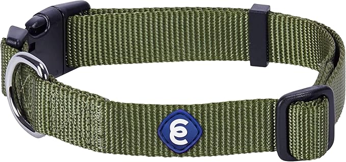 Blueberry Pet Essentials Medium Dog Collar in Military Green | Adjustable & Eco-Friendly Durable Nylon Strap | Classic Collar for Medium Dogs, Boy & Girl Pets-PawvioPets
