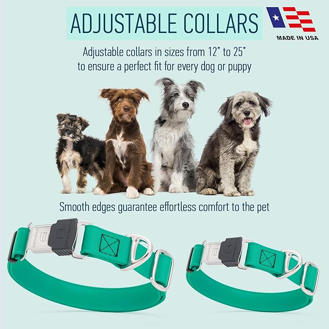 Dogline Biothane Waterproof Dog Collar with Herm Sprenger Stainless Steel Quick Release Buckle – Heavy Duty Tactical Durable Collar for Dogs – Comfortable and Safe Pet Collar, W 3/4" L 12-19", Teal-PawvioPets
