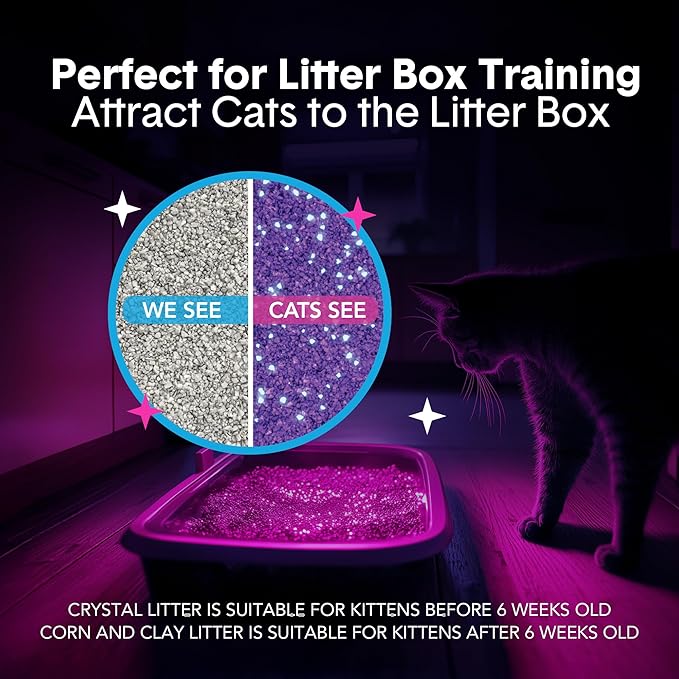 Boxie® Glo™ 30 Day Odor Control Clumping Clay Cat Litter, 16 lb, Multi-Cat, 99.9% Dust-Free, Low Tracking, UV Light Attractant, Superior Clumping for Easy Scooping-PawvioPets