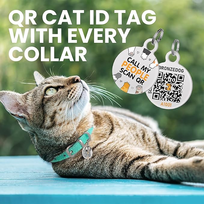 BRONZEDOG Leather Cat Collar with Removable Bells Non Breakaway Kitten QR Tag for Girl Boy (7" - 9" for Cats, Turquoise & Silver)-PawvioPets