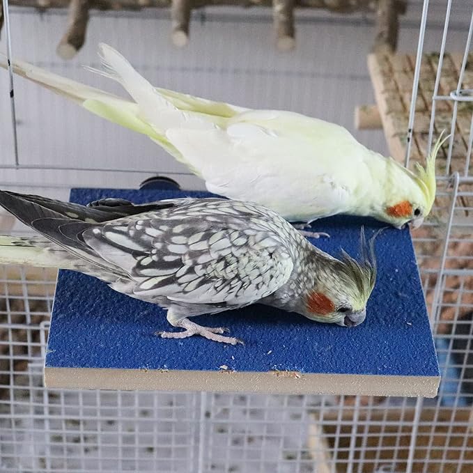 7.9×5.9 Inches Large Bird Perch Stand Platform, Natural Wooden Bird Cage Accessories, Bird Stand Perch with Rough Quartz Sand Surface for Parrot, Parakeet, Budgies, Cockatiel, Rats-PawvioPets