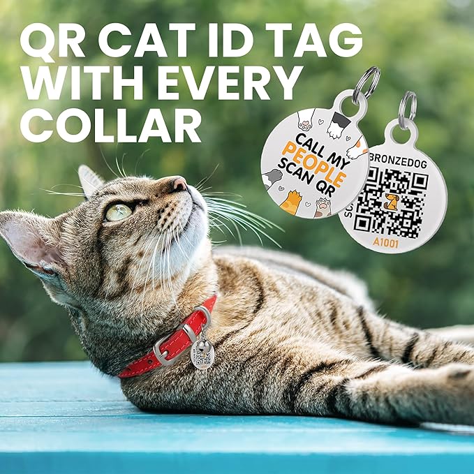 BRONZEDOG Leather Cat Collar with Removable Bells Non Breakaway Kitten QR Tag for Girl Boy (7" - 9" for Cats, Red & Silver)-PawvioPets