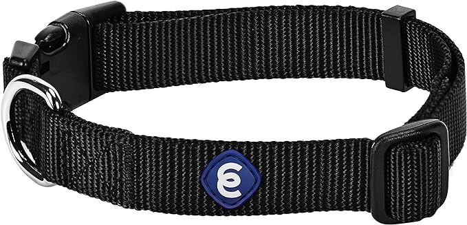 Blueberry Pet Essentials Small Dog Collar in Black | Adjustable & Eco-Friendly Durable Nylon Strap | Classic Collar for Small Dogs, Boy & Girl Pets-PawvioPets