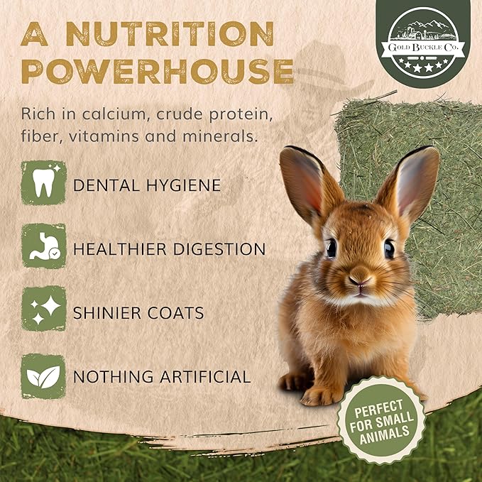 5lb Freshly Dried Organic Alfalfa Hay for Guinea Pigs, Rabbits, Chinchillas, Goats, Hamsters & Ferrets, Small Animal Food Rich in Protein & Fiber, Hand-Selected, Hand Sorted, USA Grown-PawvioPets