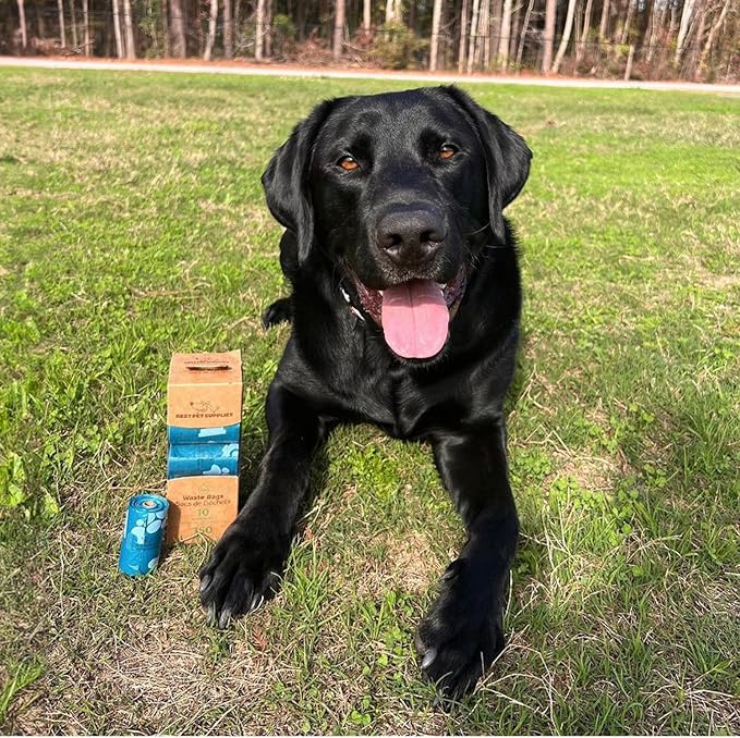 Best Pet Supplies Dog Poop Bags (150 Bags) for Waste Refuse Cleanup, Doggy Roll Replacements for Outdoor Puppy Walking and Travel, Leak Proof and Tear Resistant, Thick Plastic - Turquoise-PawvioPets