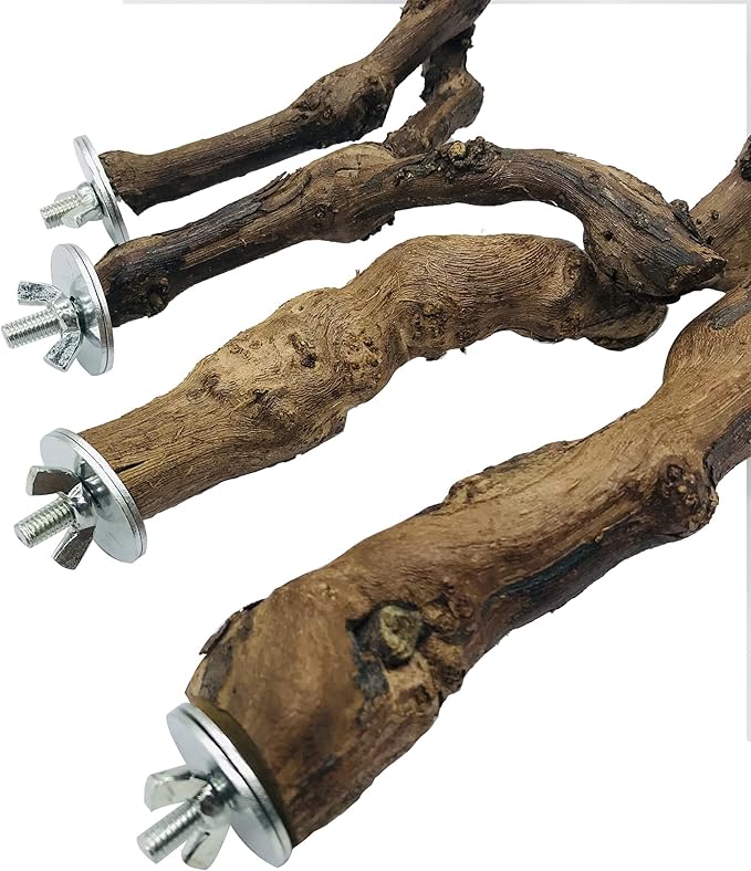 Allazone 4-Piece Bird Perch - Natural Grapevine Stick Swing Chewing Toys for Parrot Cages, Cockatiels, Parakeets, Finches-PawvioPets