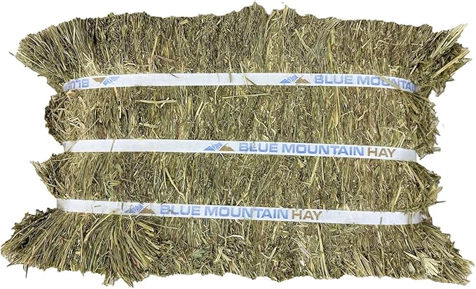 Blue Mountain Hay High-Altitude Teff Grass Hay, 50lb Easy Flake Box - Low NSC & High Fiber for Easy Digestion and Weight Management - Ideal for Horses, Goats, Rabbits, Guinea Pigs & Other Small Pets-PawvioPets