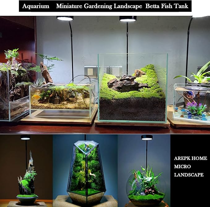 Aquarium Light Full Spectrum LED, for Under 3 Gallon Fish Tank, Light with Timer Auto On/Off, Betta Fish Tank,Indoor Plant Growth, Potted Plants, Succulent, Miniature Gardening Landscape (5)-PawvioPets