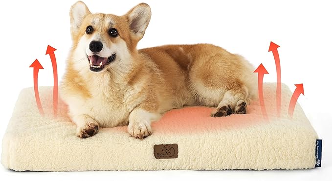 Bedsure Self Warming Dog Bed for Medium Dogs - Orthopedic Waterproof Puppy Beds with Removable Washable Cover, Egg Crate Foam Pet Mat, Suitable for Pet Up to 35 lbs-PawvioPets