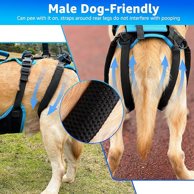Dog Lift Harness for Large Male Dogs, 2-in-1 Detachable Support Harness, Full Body Carrying with 4 Handles, Dog Sling for Large Dogs Hind Leg Support(Black, X-Large)-PawvioPets
