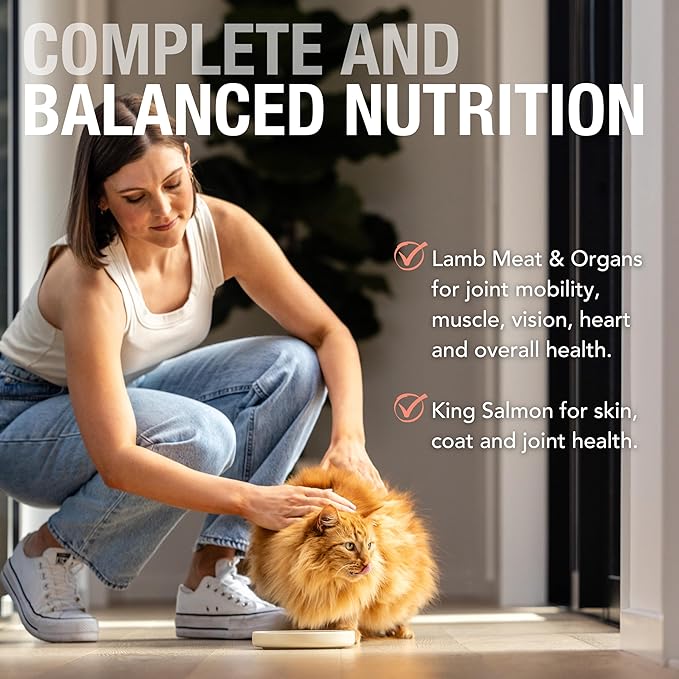 Feline Natural New Zealand Canned Catfood Wet Food, High-Meat, Low-Carb, & Grain Free Cat Food Wet, Lamb & Salmon Feast, 6 oz, Pack of 12-PawvioPets
