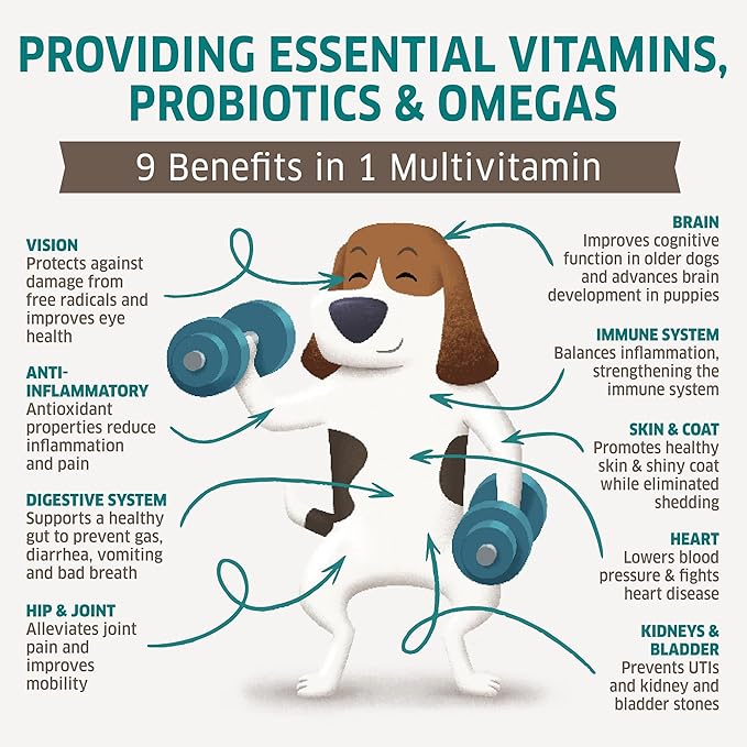 Dog Multivitamin - Dog Vitamins and Supplements - Digestive Enzymes & Probiotics - Probiotics for Dogs - for Skin and Coat Allergies - Immune System & Overall Health - 120 Soft Chew Dog Treats-PawvioPets