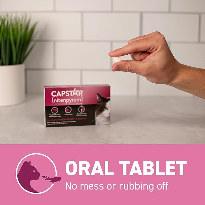 CAPSTAR (nitenpyram) Oral Flea Treatment for Cats, Fast Acting Tablets Start Killing Fleas in 30 Minutes, Cats 2-25 lbs, 6 Doses-PawvioPets