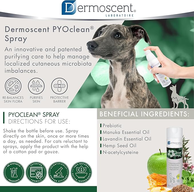 Dermoscent PYOclean® Spray for Dogs & Cats 50 ml (1.66 fl. oz.)-PawvioPets