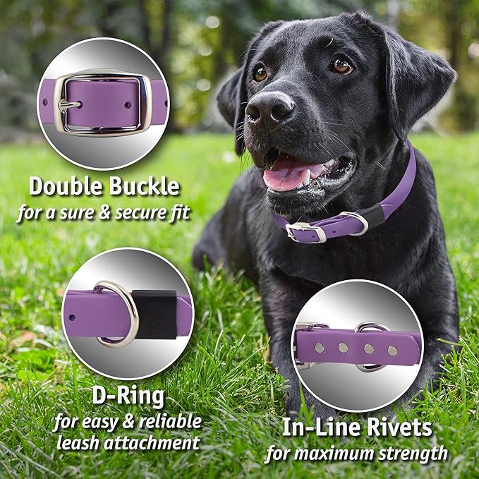 Biothane Custom Dog Collar – Waterproof, Stink-Proof Personalized Collar with Name & Phone Number – Durable, Many Sizes and Colors – Assembled in USA (Amethyst Purple)-PawvioPets
